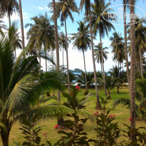 фото из отзыва ID 1407155