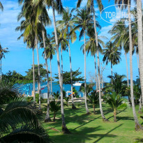 фото из отзыва ID 1407155