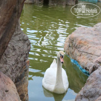 фото из отзыва ID 1407217