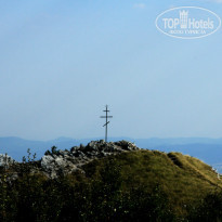 фото из отзыва ID 1407266