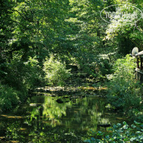 фото из отзыва ID 1407266