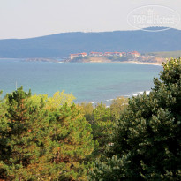 фото из отзыва ID 1407266