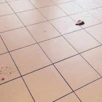 фото из отзыва ID 1407297