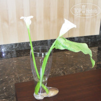 фото из отзыва ID 1407361