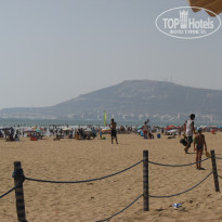 фото из отзыва ID 1407563