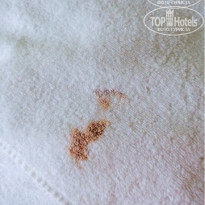 фото из отзыва ID 1407614