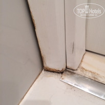 фото из отзыва ID 1407614