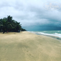 фото из отзыва ID 1407634