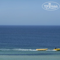 фото из отзыва ID 1407675