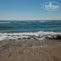 фото из отзыва ID 1407688