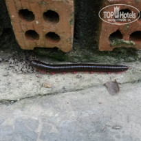 фото из отзыва ID 1407689