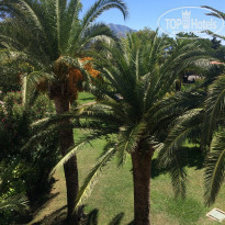 фото из отзыва ID 1407716