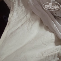 фото из отзыва ID 1407718