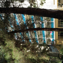 фото из отзыва ID 1407786