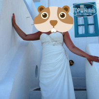 фото из отзыва ID 1407792