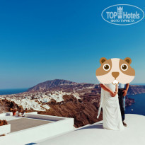 фото из отзыва ID 1407792