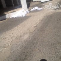 фото из отзыва ID 1407807