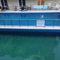 фото из отзыва ID 1407973