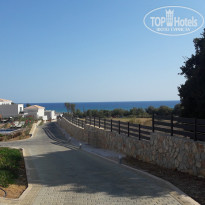 фото из отзыва ID 1407969