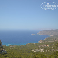 фото из отзыва ID 1408184