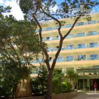 фото из отзыва ID 1408198