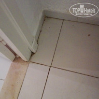 фото из отзыва ID 1408260