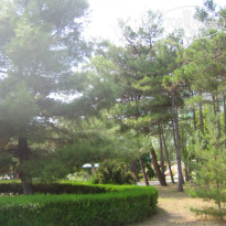 фото из отзыва ID 1408272