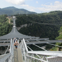 фото из отзыва ID 1408297