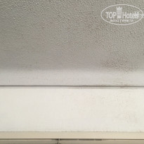 фото из отзыва ID 1408301