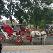 фото из отзыва ID 1408285