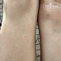 фото из отзыва ID 1408404