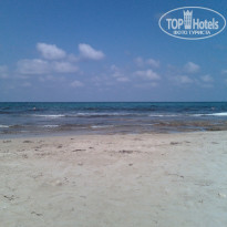 фото из отзыва ID 1408427