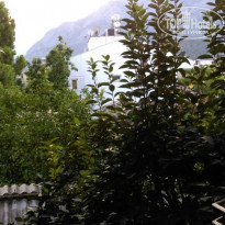 фото из отзыва ID 1408523