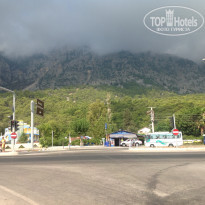 фото из отзыва ID 1408558