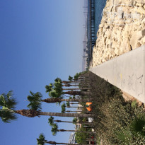 фото из отзыва ID 1408564