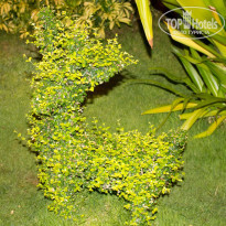 фото из отзыва ID 1408566