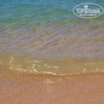 фото из отзыва ID 1408566