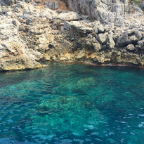 фото из отзыва ID 1408609