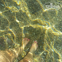 фото из отзыва ID 1408696