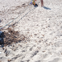 фото из отзыва ID 1408709