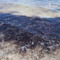 фото из отзыва ID 1408709