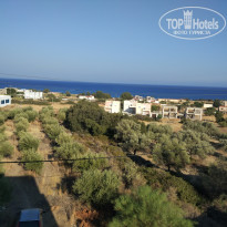 фото из отзыва ID 1408769