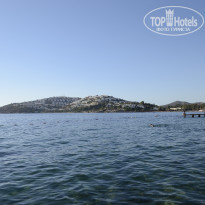 фото из отзыва ID 1409090