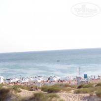 фото из отзыва ID 1409091