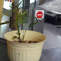 фото из отзыва ID 1409226