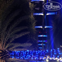 фото из отзыва ID 1403782