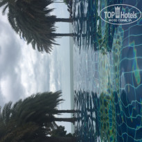 фото из отзыва ID 1403782