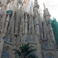 фото из отзыва ID 1409286