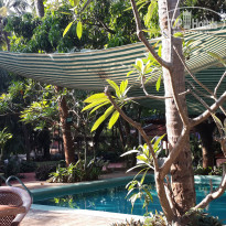 фото из отзыва ID 1409464