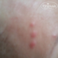 фото из отзыва ID 1409475